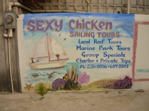 Sexy Chicken Tours